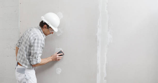 Best Mold Remediation for Healthcare Facilities  in South Hill, WA