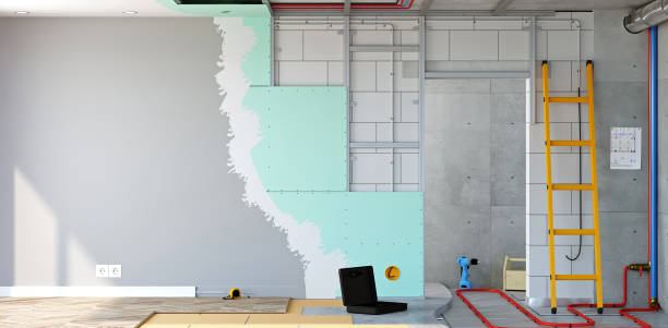 Best Black Mold Removal  in South Hill, WA