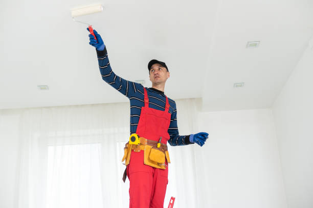Best Mold Remediation for Rental Properties  in South Hill, WA